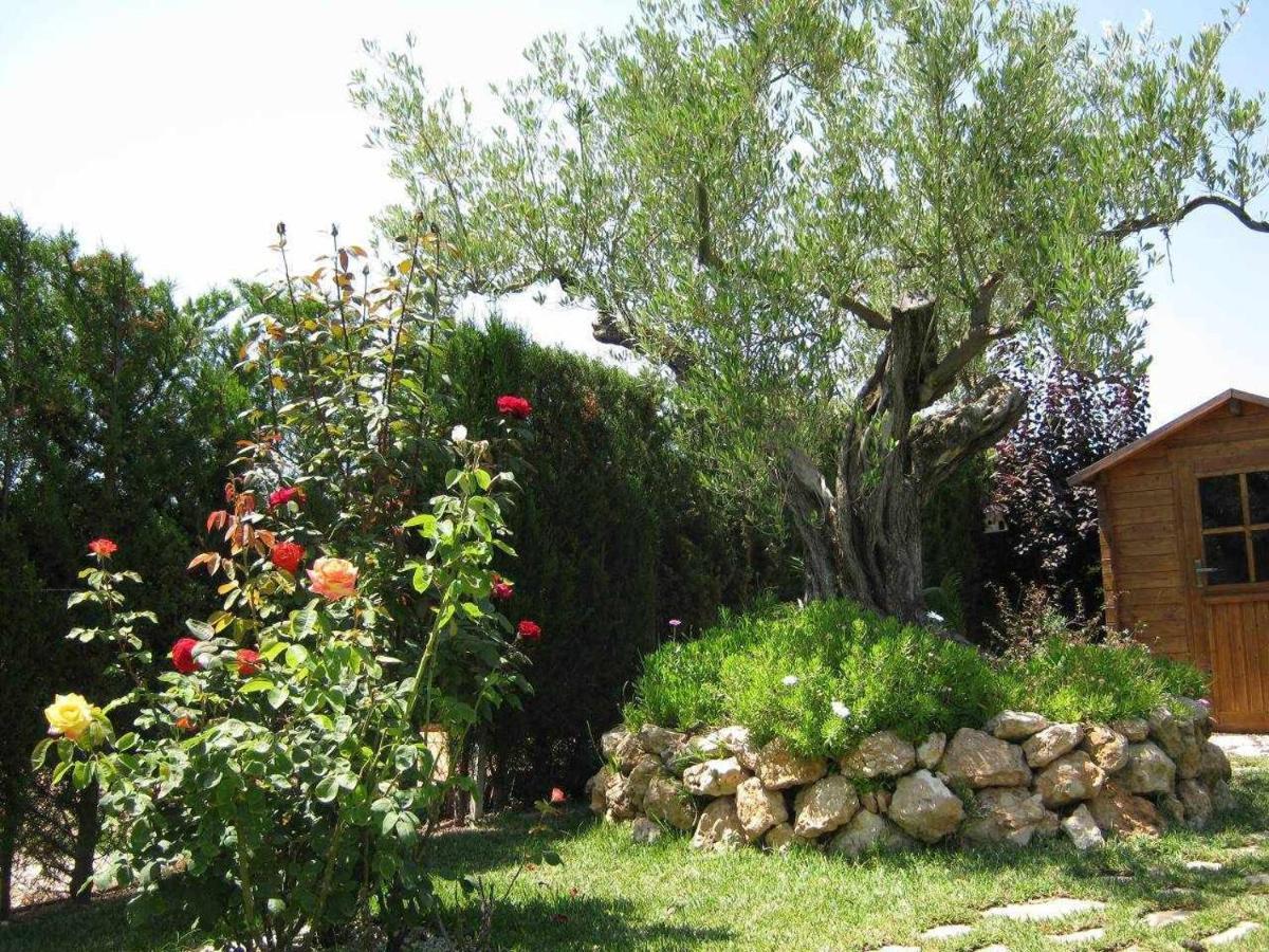 Casa Junto A La Playa Costa Dorada Villa L'Ampolla Dış mekan fotoğraf